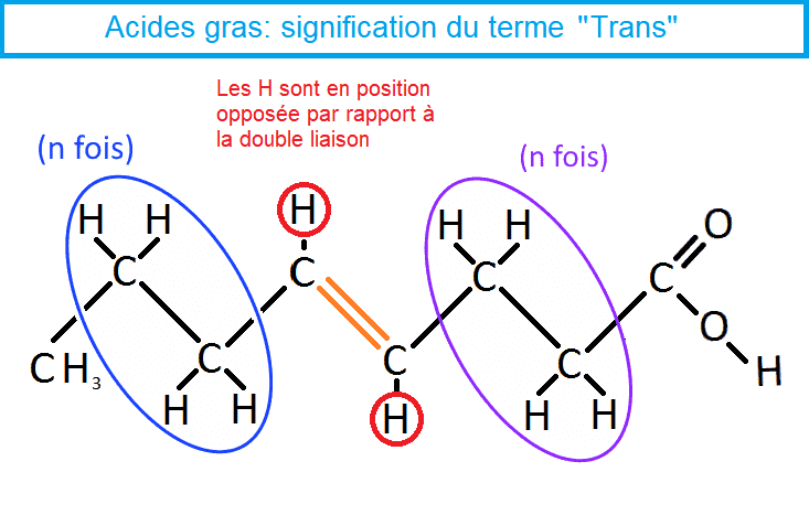 AG mono insaturés forme Trans