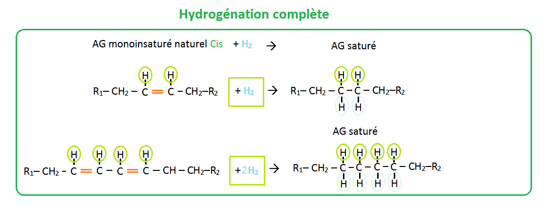 Schéma hydrogénation complète des acides gras Cis