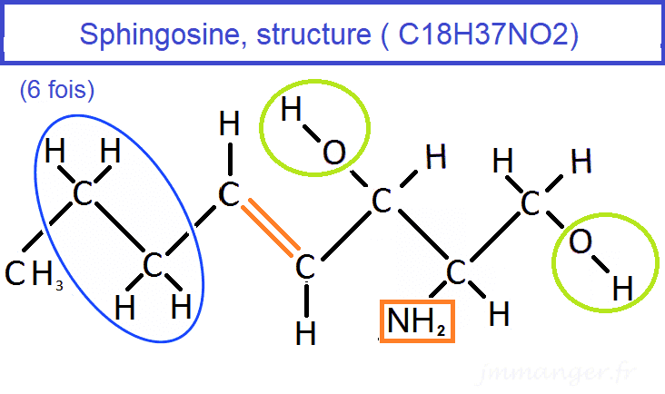 Structure de la sphingosine